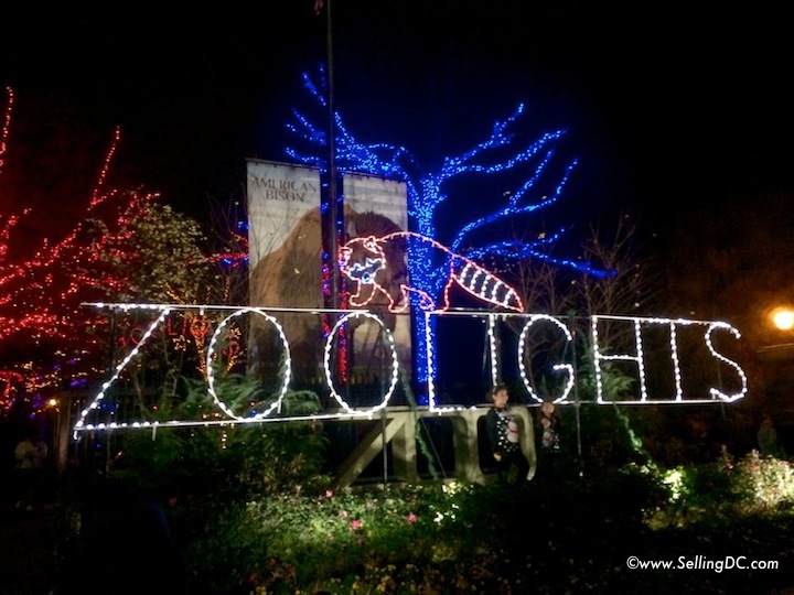 DC Zoo Lights